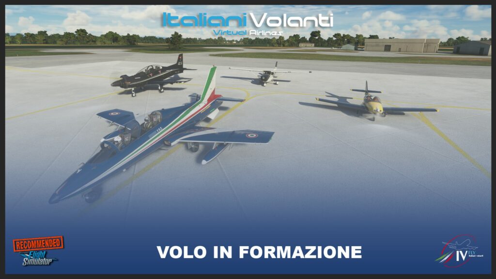 Locandina di Volo in formazione: aerei della Virtual Airline in fila sul piazzale